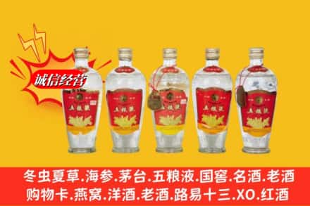 海南文昌市回收老五粮液