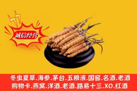 海南文昌市求购回收虫草多少钱每克